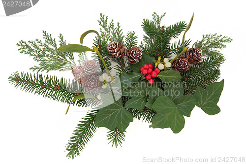 Image of Winter Floral Display