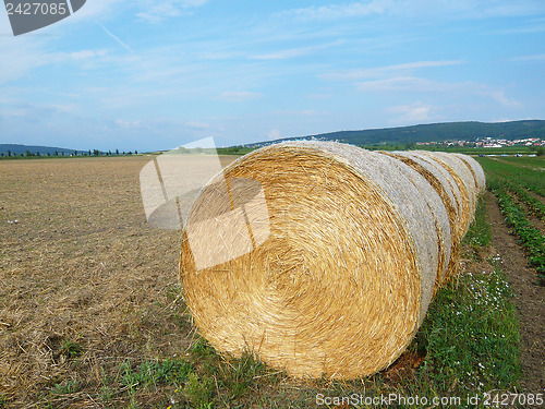 Image of Straw Bales