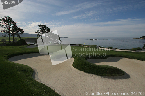 Image of pebble beach