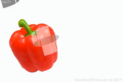 Image of Isolated wet red pepper