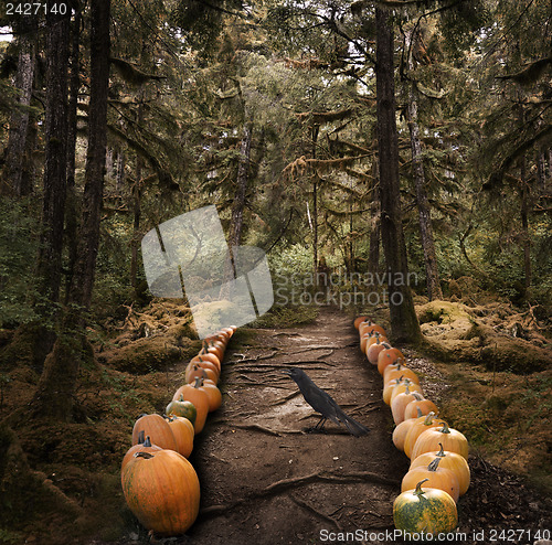 Image of Spooky Trees And  Pumpkins 