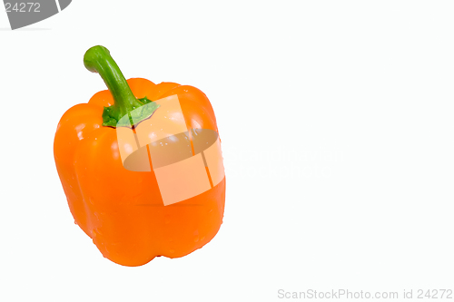 Image of Isolated wet orange pepper