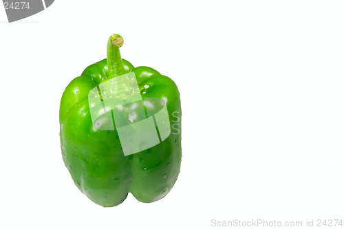 Image of Isolated wet green pepper