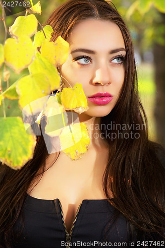 Image of Young thoughtful brunette