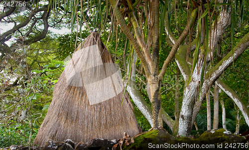 Image of Kauhale--Traditional Hawaiian living site