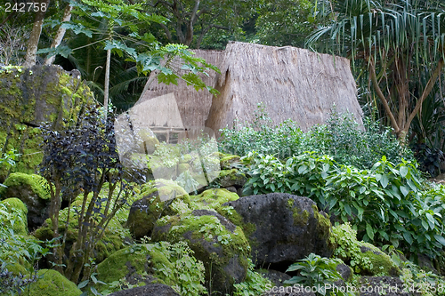 Image of Kauhale--Traditional Hawaiian living site