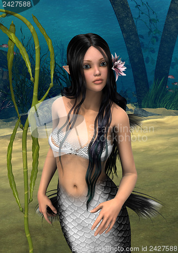 Image of Mermaid