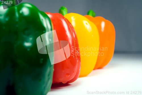Image of Four wet peppers closeup straight on