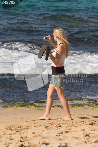 Image of Woman Trying to Photograph Sea Turtles, North Shore, Oahu, Hawai