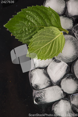 Image of Ice cubes isolated on black