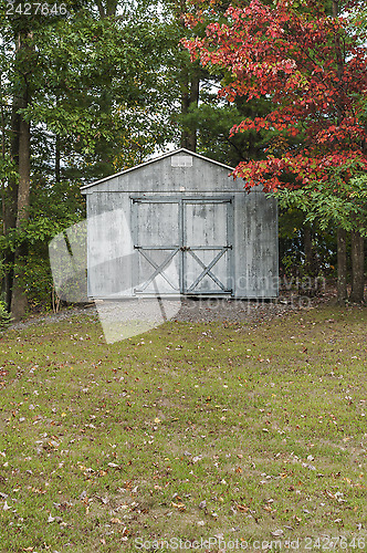 Image of Early Autumn Shed