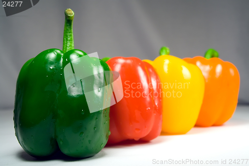 Image of Four wet peppers closeup straight on