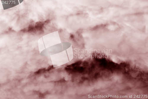 Image of Cotton Candy 2