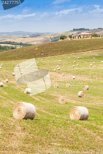 Image of Tuscany country