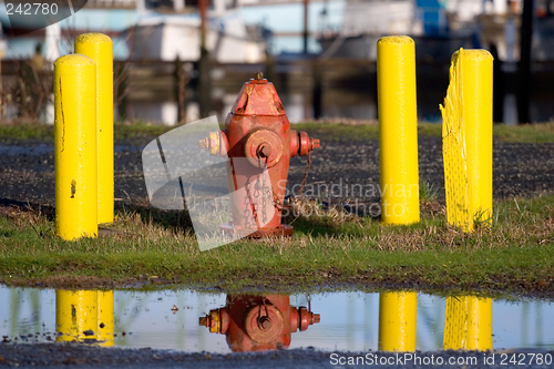 Image of Fire Hydrant and Reflection