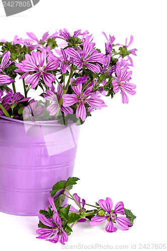 Image of wild flowers in bucket 