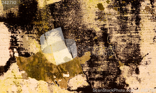 Image of Grunge Background 27