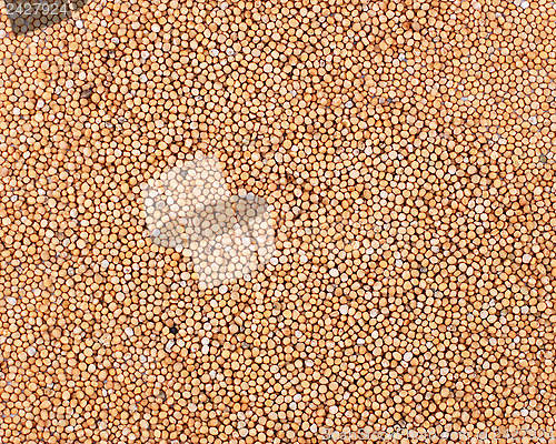 Image of Mustard seeds background