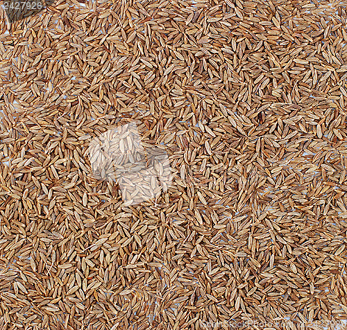 Image of Cumin seeds background