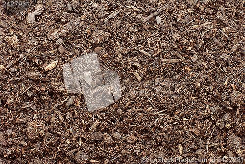 Image of Compost, soil or dirt background