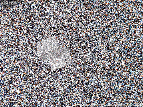 Image of Poppy seeds background 