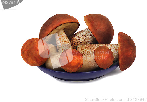 Image of Mushrooms, aspen mushrooms on a blue saucer, photographed on a w