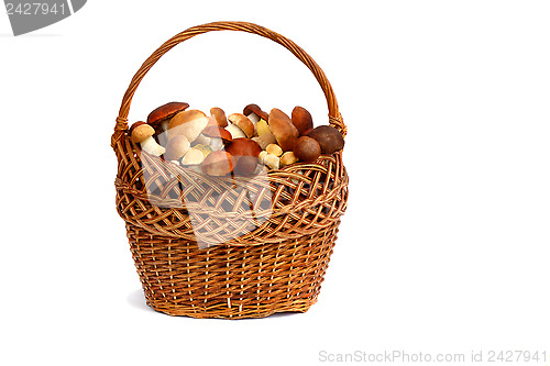 Image of Mushrooms in a wicker basket on a white background.