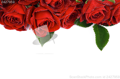 Image of Red Roses