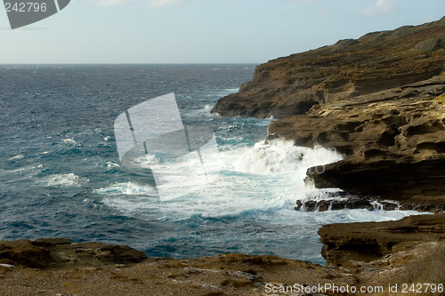 Image of Rocky Shore, Near Halona Blowhole