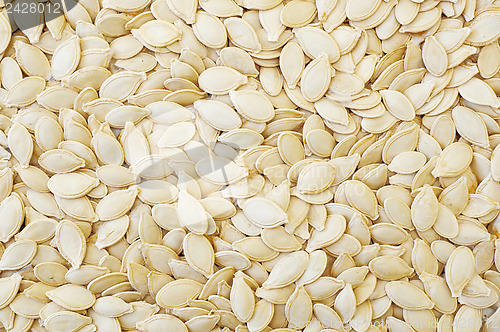 Image of closeup shot of dry pumpkin seeds