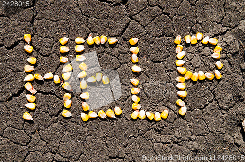 Image of word HELP from grains of corn over cracked earth