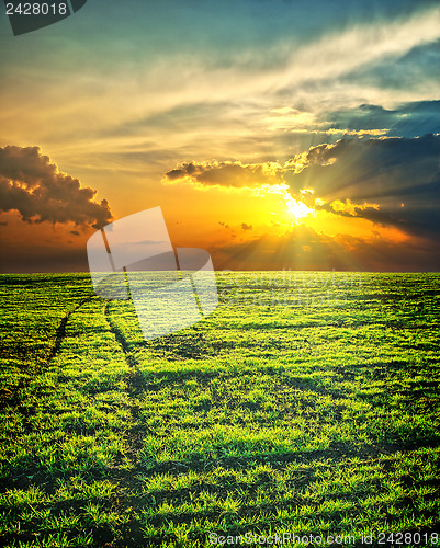 Image of last sunrays over green field with path