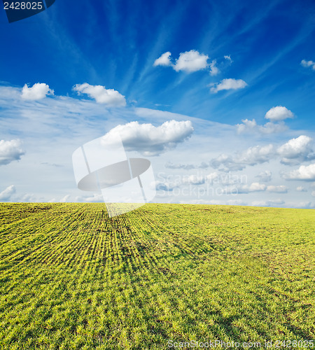Image of green field under cloudy sky