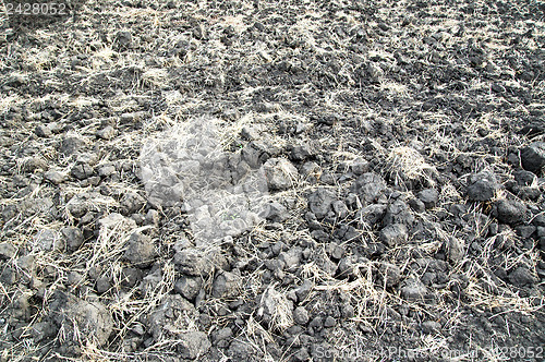 Image of arable earth in autumn after harvesting