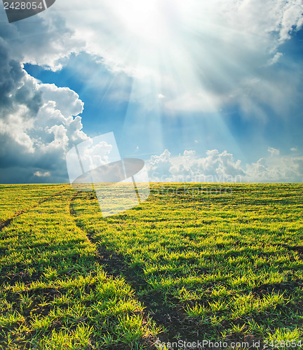 Image of green field with path under sun