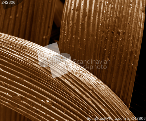 Image of Leaf Abstract, Haiku Gardens