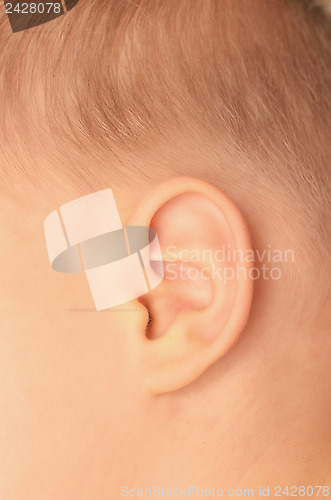 Image of baby ear