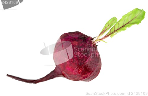 Image of beet peeled of a peel