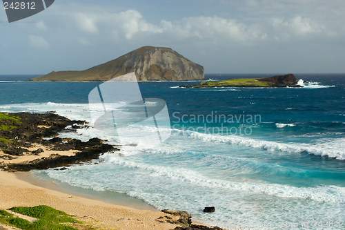 Image of Beach, Near Makapuu Beach Park