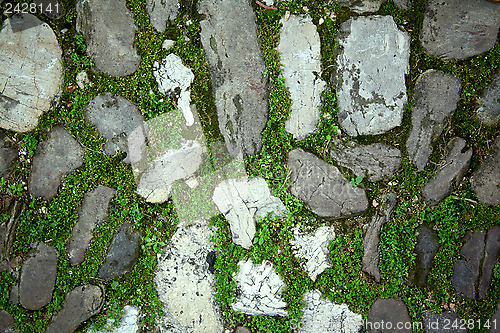 Image of cobbles with moss on a pavement