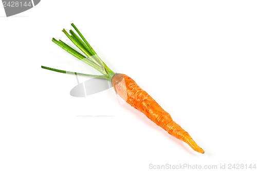 Image of fresh carrot vegetable