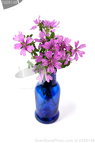 Image of wild violet flowers in blue bottle 