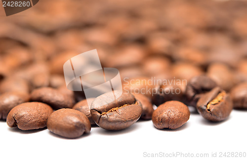 Image of coffee beans 