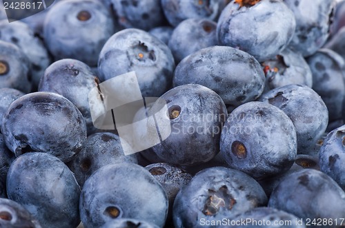 Image of Bilberries background