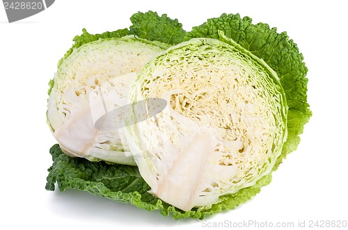 Image of Savoy cabbage cutted on half