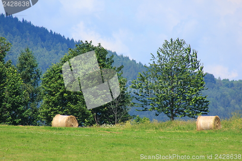 Image of Hay bales