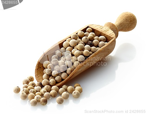 Image of Wooden scoop with white peppers
