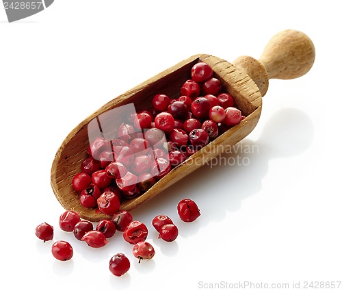 Image of wooden scoop with red pepper