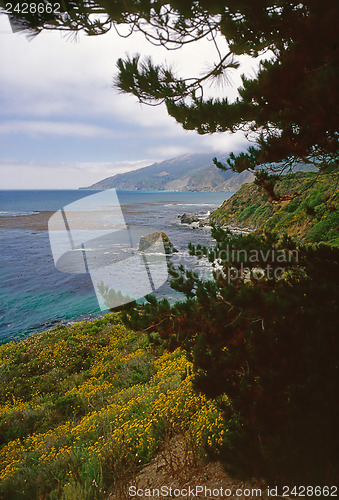 Image of Big Sur