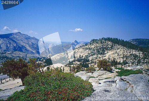 Image of Yosemite National Park